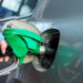gasolina