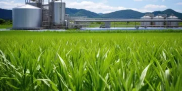 biocombustibles