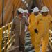 Pemex